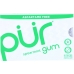 Spearmint Gum, 9 pc