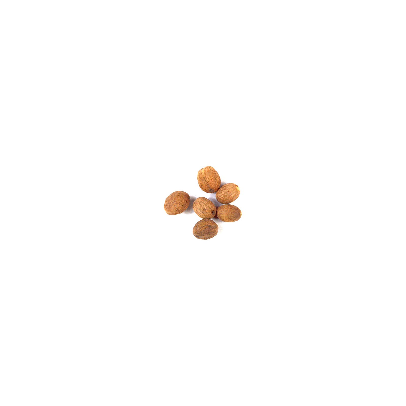 Nuez Moscada Entera 1Lb para la Suerte Nuez Moscada Entera 1Lb para la Suerte