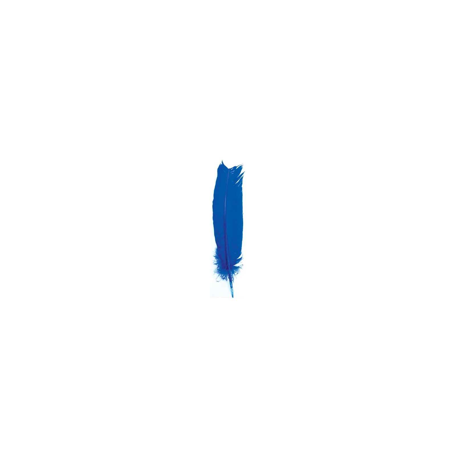 Set de 10 Plumas Azules de 12 pulgadas para Rituales Set de 10 Plumas Azules de 12 pulgadas para Rituales