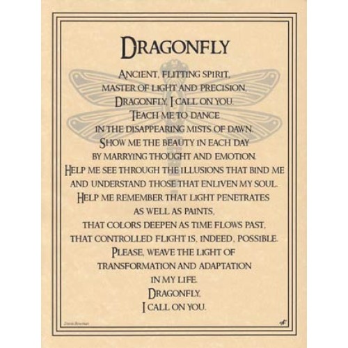 Dragonfly Poster Spiritual Growth Decor