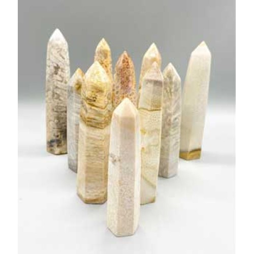 1 kg Fossil Coral Obelisk for Grounding