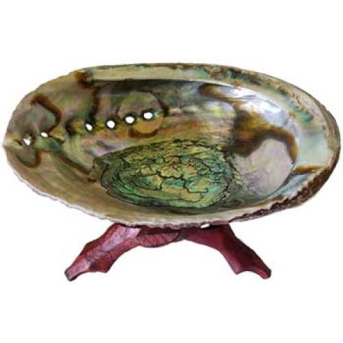 5-6" Abalone Shell Incense Burner with Stand