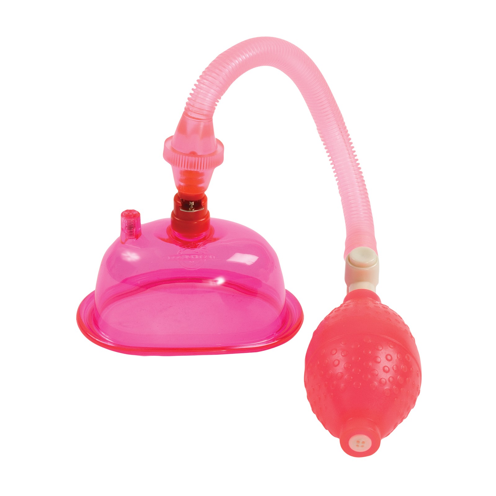 In A Bag Pussy Pump Pink In A Bag Pussy Pump Pink