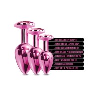 Juego de Plug Anal Metálico Nixie Rosa
